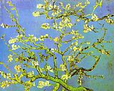 Tree Canvas Paintings - Branches of Almond tree in Bloom